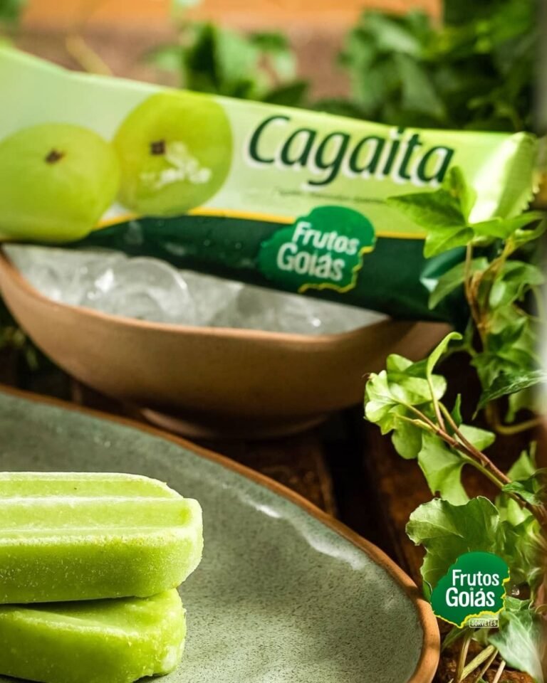 FRUTOS DE GOIAS FEED (98)
